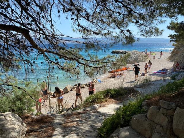 Apartments Elena Lokva Rogoznica Εξωτερικό φωτογραφία